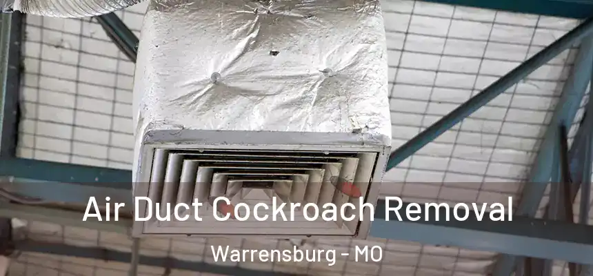  Air Duct Cockroach Removal Warrensburg - MO