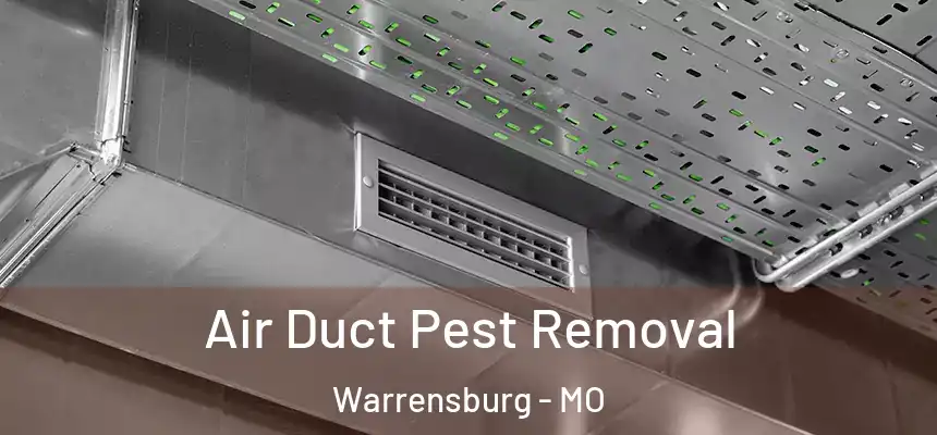  Air Duct Pest Removal Warrensburg - MO