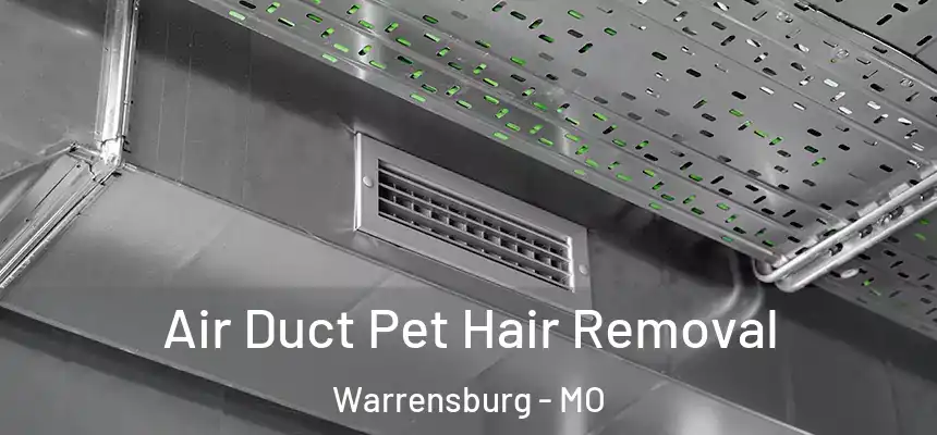  Air Duct Pet Hair Removal Warrensburg - MO