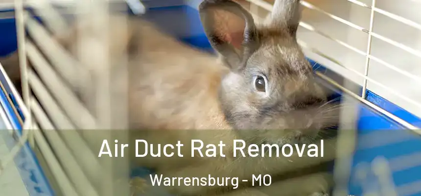  Air Duct Rat Removal Warrensburg - MO
