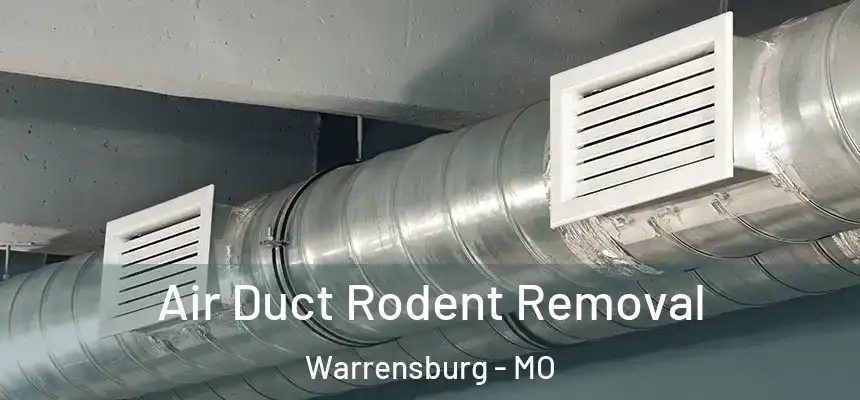 Air Duct Rodent Removal Warrensburg - MO
