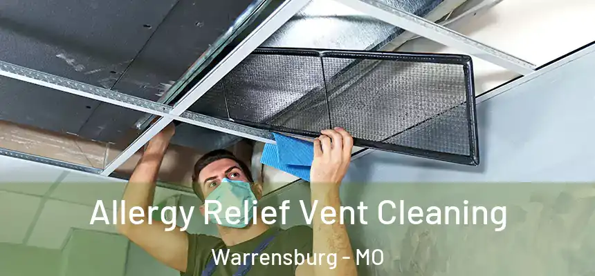  Allergy Relief Vent Cleaning Warrensburg - MO