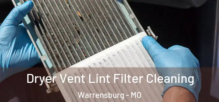  Dryer Vent Lint Filter Cleaning Warrensburg - MO