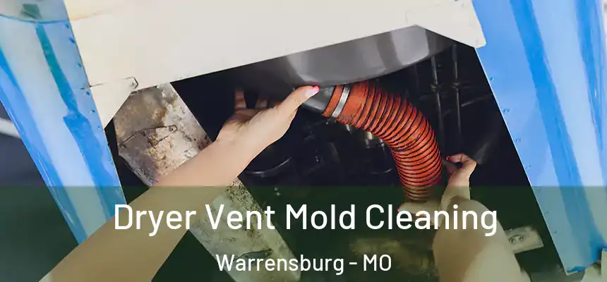  Dryer Vent Mold Cleaning Warrensburg - MO