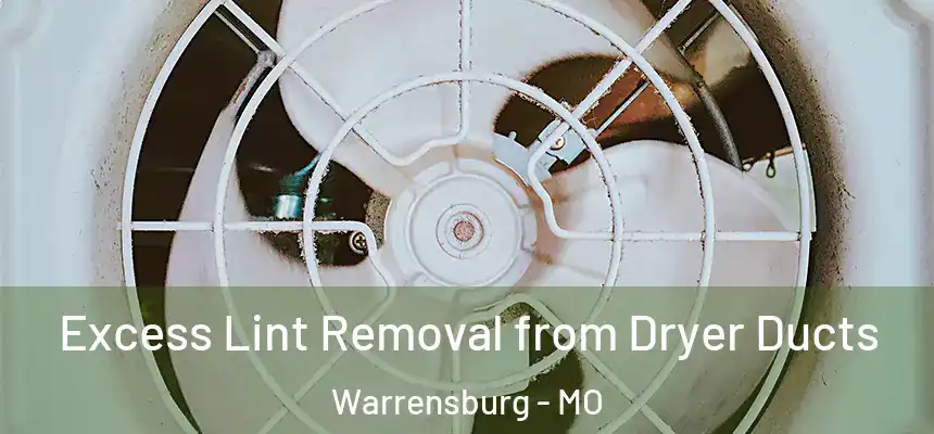 Excess Lint Removal from Dryer Ducts Warrensburg - MO