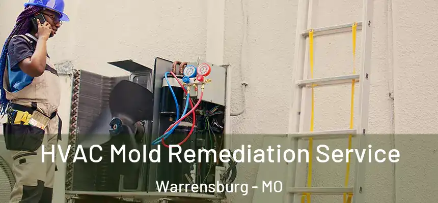  HVAC Mold Remediation Service Warrensburg - MO