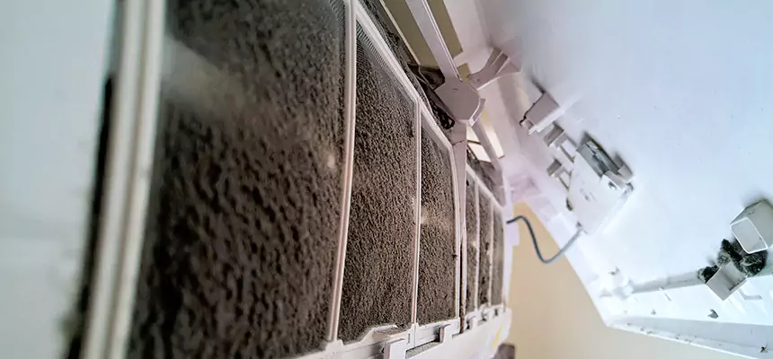 Preventive Air Duct Bacteria Removal in Warrensburg