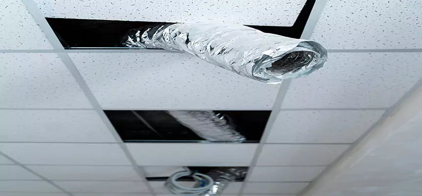 Our Air Duct Pet Hair Removal Services in Warrensburg, MO