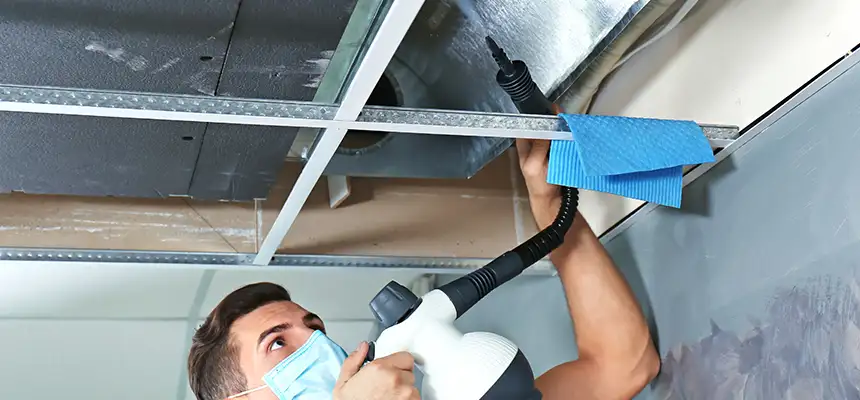 Our Air Duct Rodent Removal Services in Warrensburg, MO