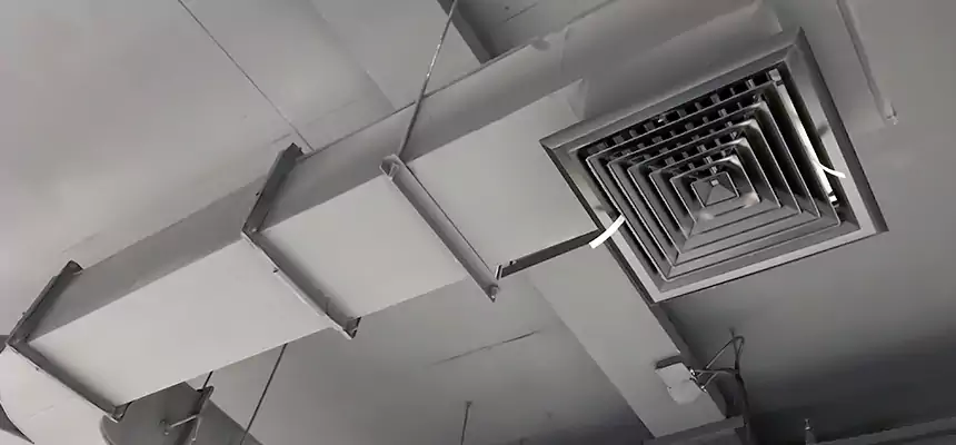 Restorative Allergy Relief Vent Cleaning – Coil, Blower & Housing Detail in Warrensburg