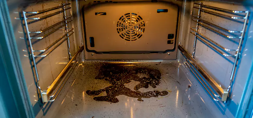 Our Dryer Vent Mold Cleaning Services in Warrensburg, MO