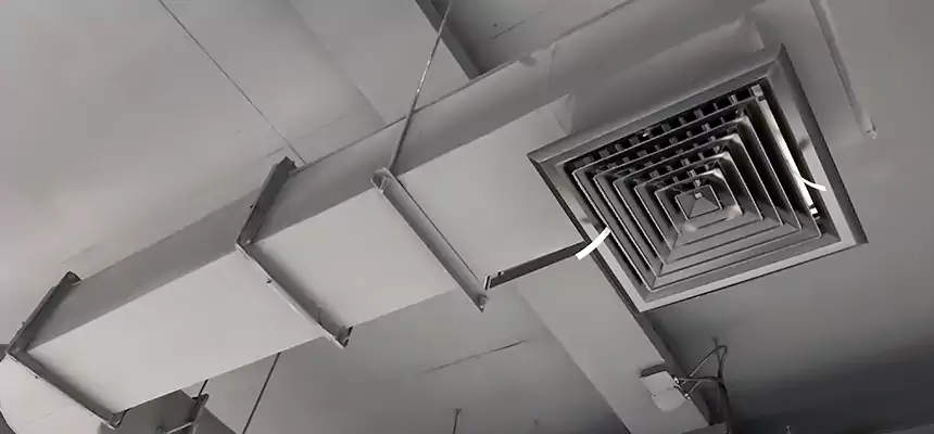 Our Pest Removal From Ducts Services in Warrensburg, MO