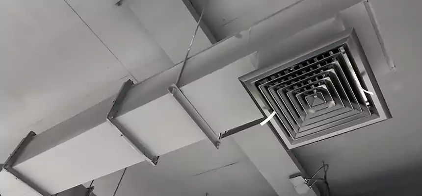 Our Rodent Droppings In Vents Services in Warrensburg, MO