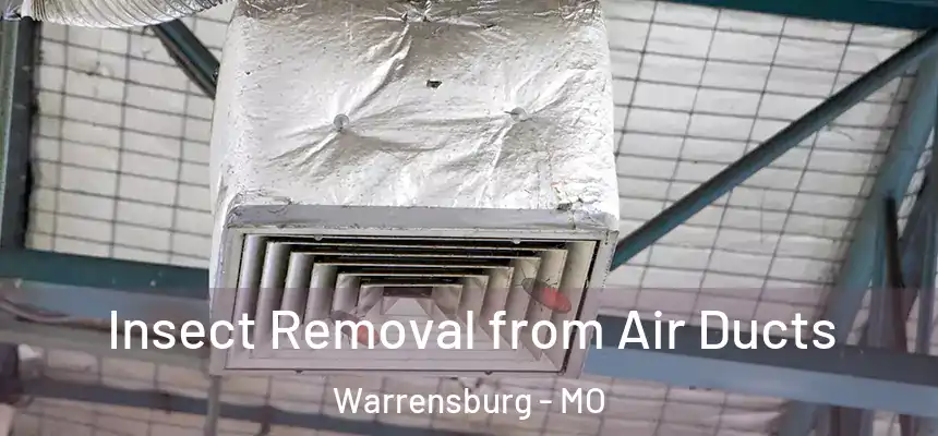  Insect Removal from Air Ducts Warrensburg - MO