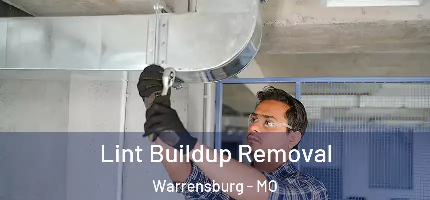  Lint Buildup Removal Warrensburg - MO