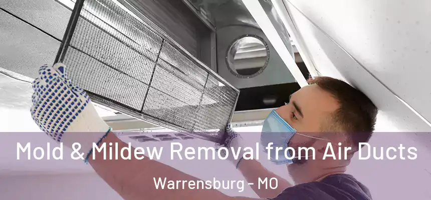 Mold & Mildew Removal from Air Ducts Warrensburg - MO