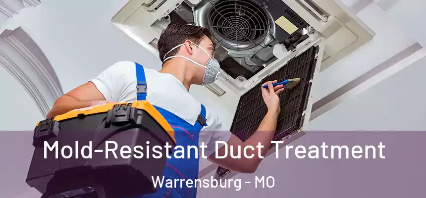 Mold-Resistant Duct Treatment Warrensburg - MO