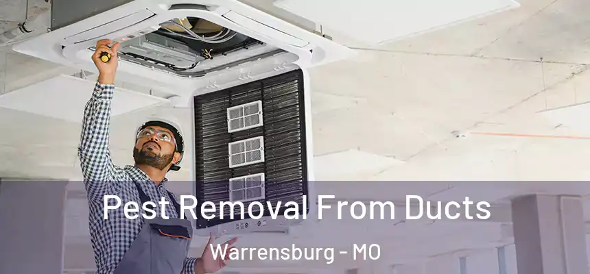  Pest Removal From Ducts Warrensburg - MO