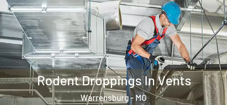  Rodent Droppings In Vents Warrensburg - MO