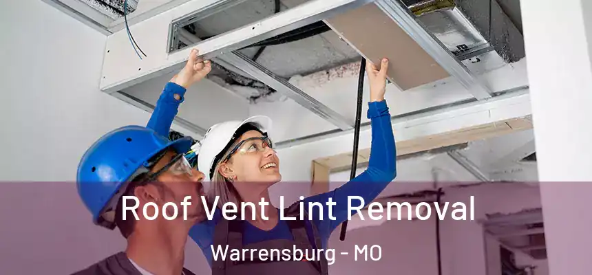 Roof Vent Lint Removal Warrensburg - MO