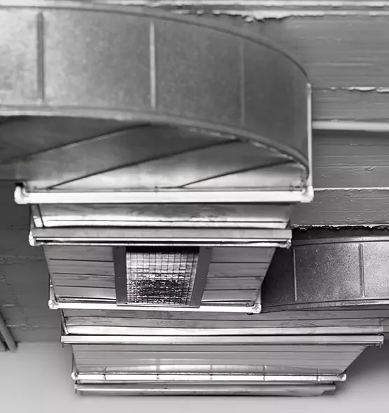 Professional Air Duct Pet Hair Removal in Warrensburg, MO