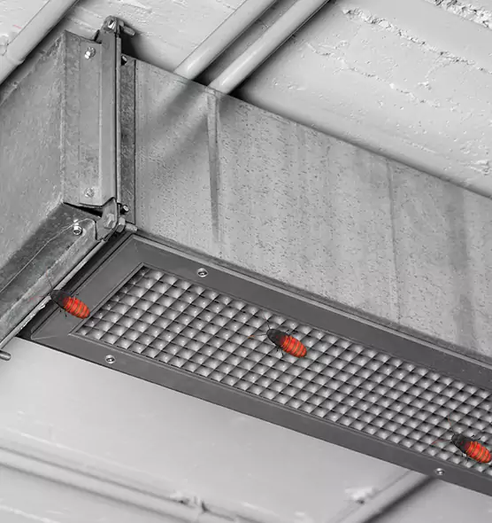 Affordable Insect Removal from Air Ducts in Warrensburg, MO