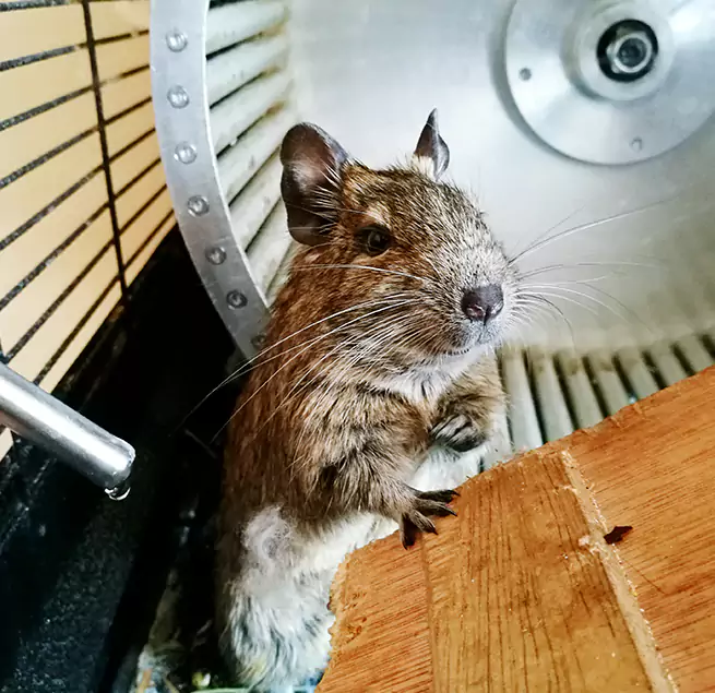 Why Homeowners & Businesses Trust Us Warrensburg, MO