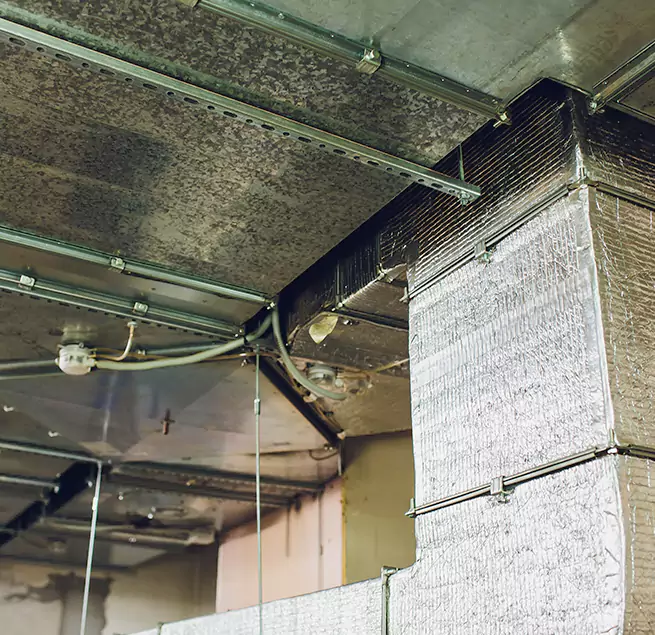 Why Homeowners & Businesses Trust Us in Warrensburg, MO?